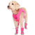 Canada Pooch Hot Pavement Boots for Dogs: Picture 3 thumbnail